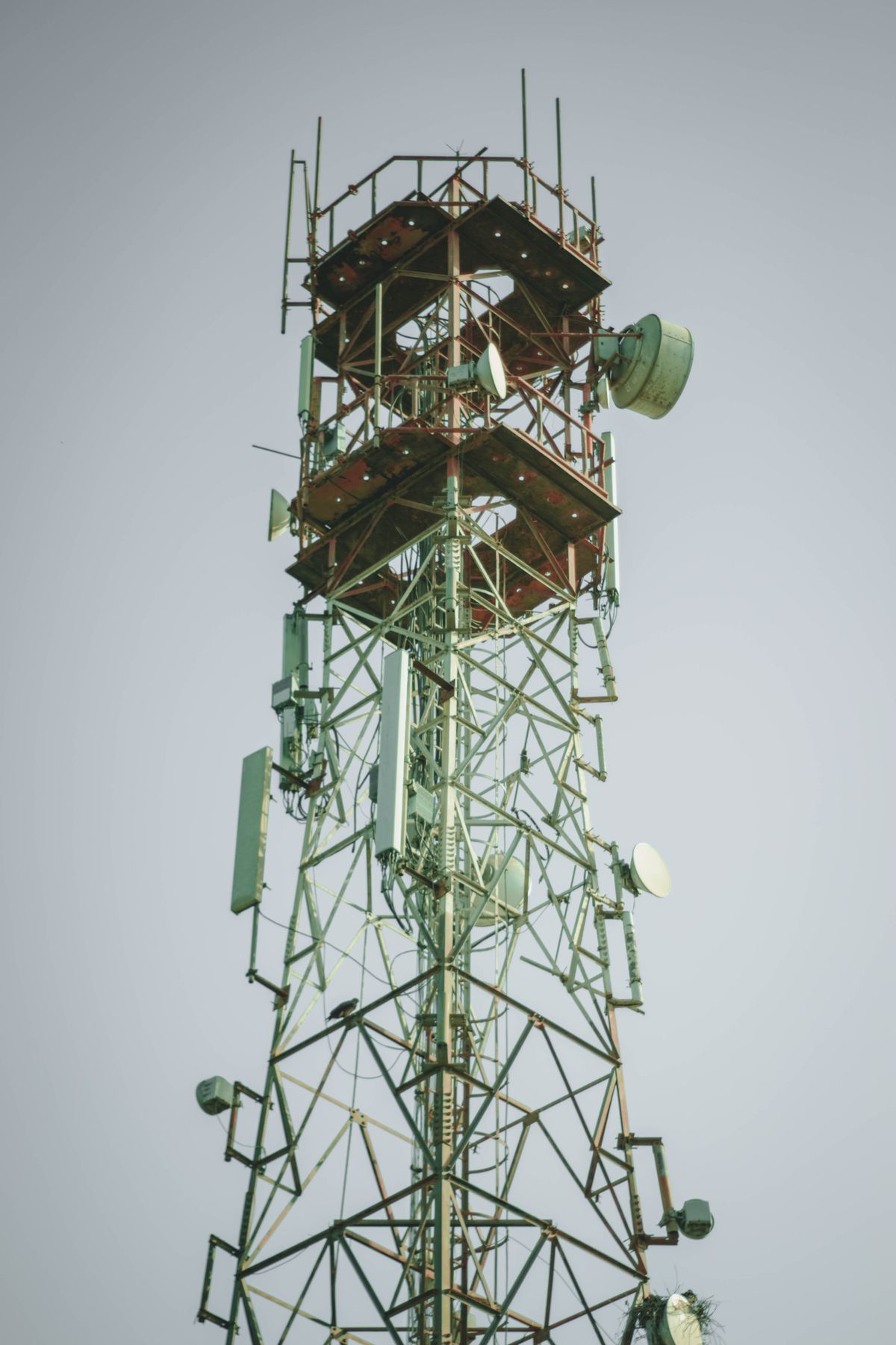 Self-supporting lattice telecom tower carrying panel antennas and microwave dishes